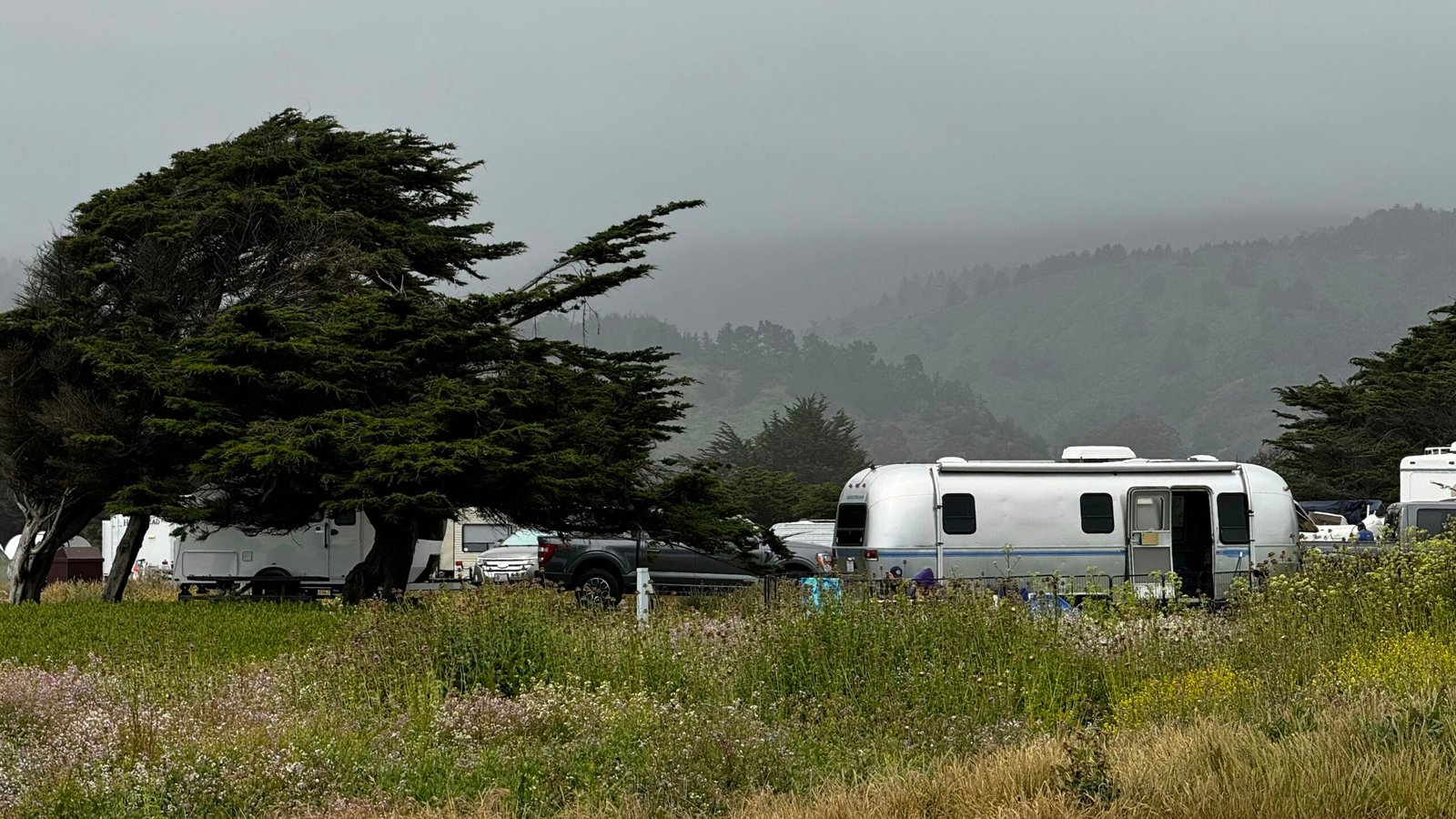A group of rvs are parked in a field