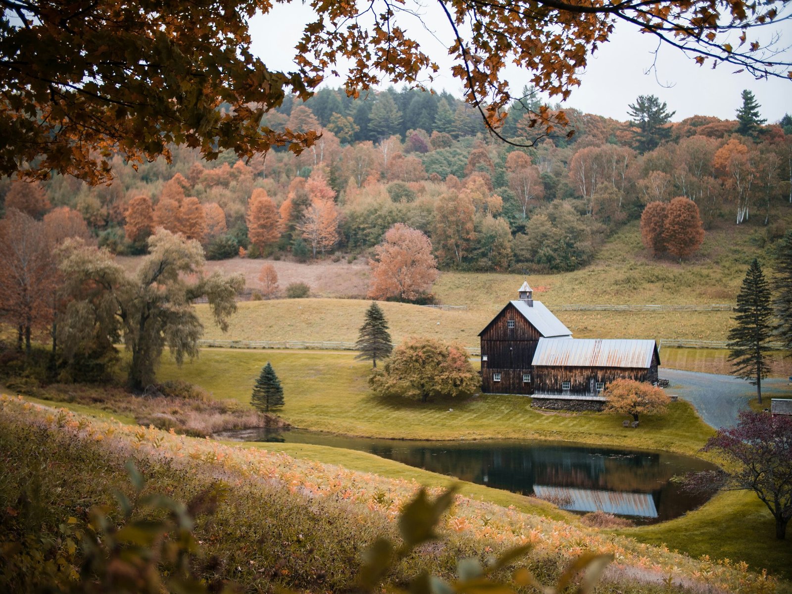 brown and white house near brown trees and river during daytime